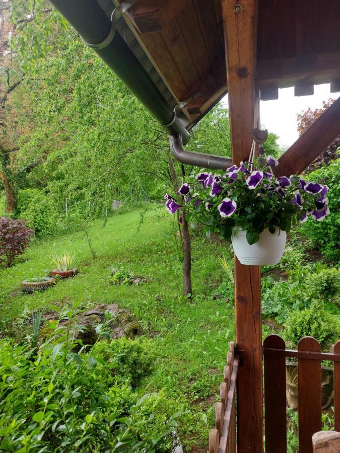 Kuca Za Odmor Anamarija Villa Ogulin Esterno foto