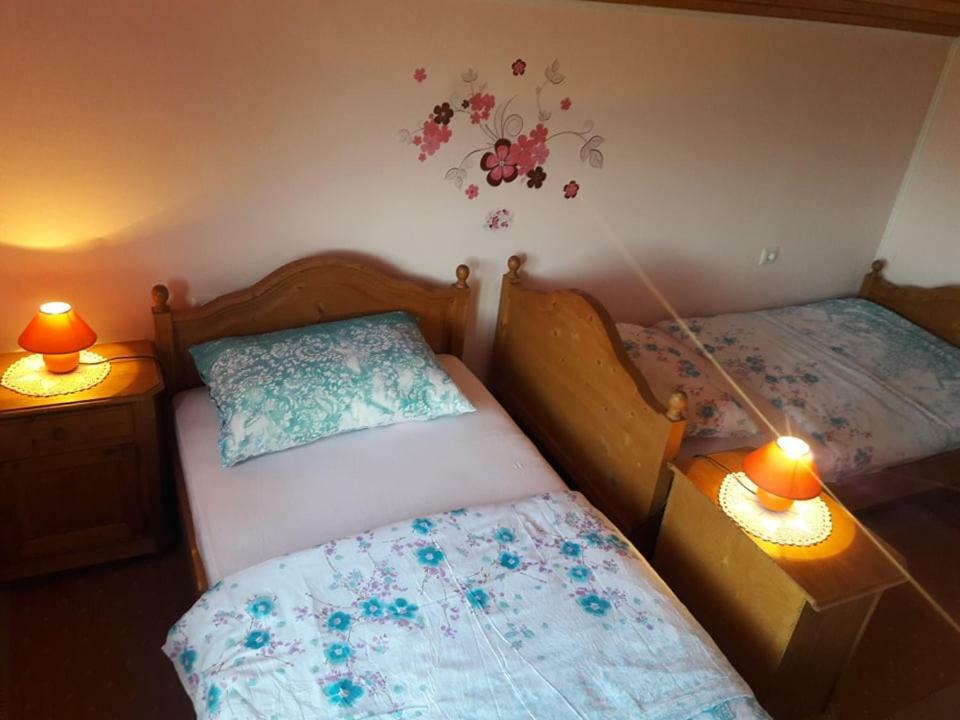 Kuca Za Odmor Anamarija Villa Ogulin Esterno foto